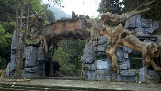 成都仿真假樹客戶見證 成都仿真假樹客戶見證